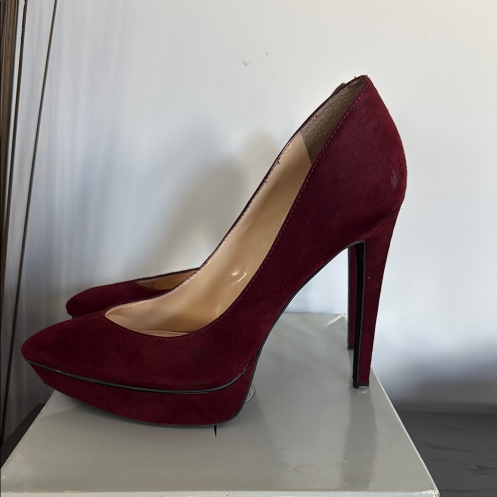 Elegant Burgundy High Heels